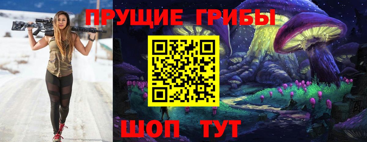 Галлюциногенные грибы прущие грибы  Вход с VPN  Тавда 